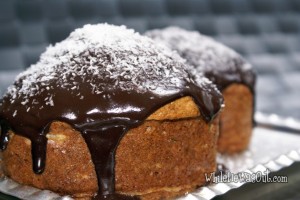 Apple and Coconut Cake with Dark Chocolate Ganache