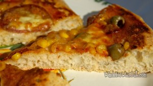 Easy Artisan Bread Dough PIZZA!